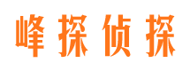 卧龙市侦探公司